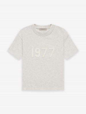 Camiseta Essentials 1977 Tee Gray | 61RENIKJF