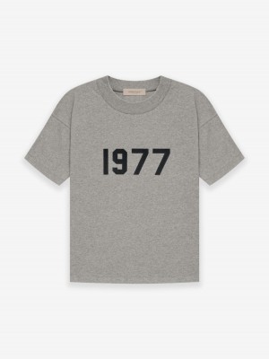 Camiseta Essentials 1977 Verde Menta | 47ASYWJUL