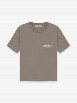 Camiseta Essentials Fear of God Gray | 46FMCYAHK