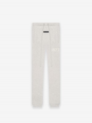 Pantalon Deportivo Essentials 1977 Gray | 64RAOTQNZ