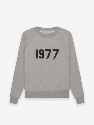 Sudadera Essentials Crewneck 1977 Verde Menta | 84LQDWXEJ