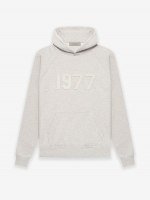 Sudadera con Capucha Essentials 1977 Gray | 53IMEFLBA