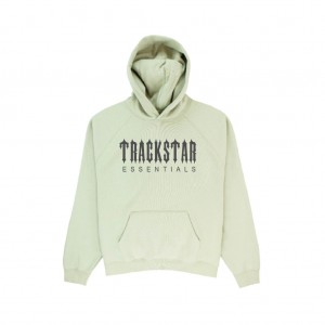 Sudadera con Capucha Essentials Trackstar Premium Encapuchado Sage | 87KGOSJAR