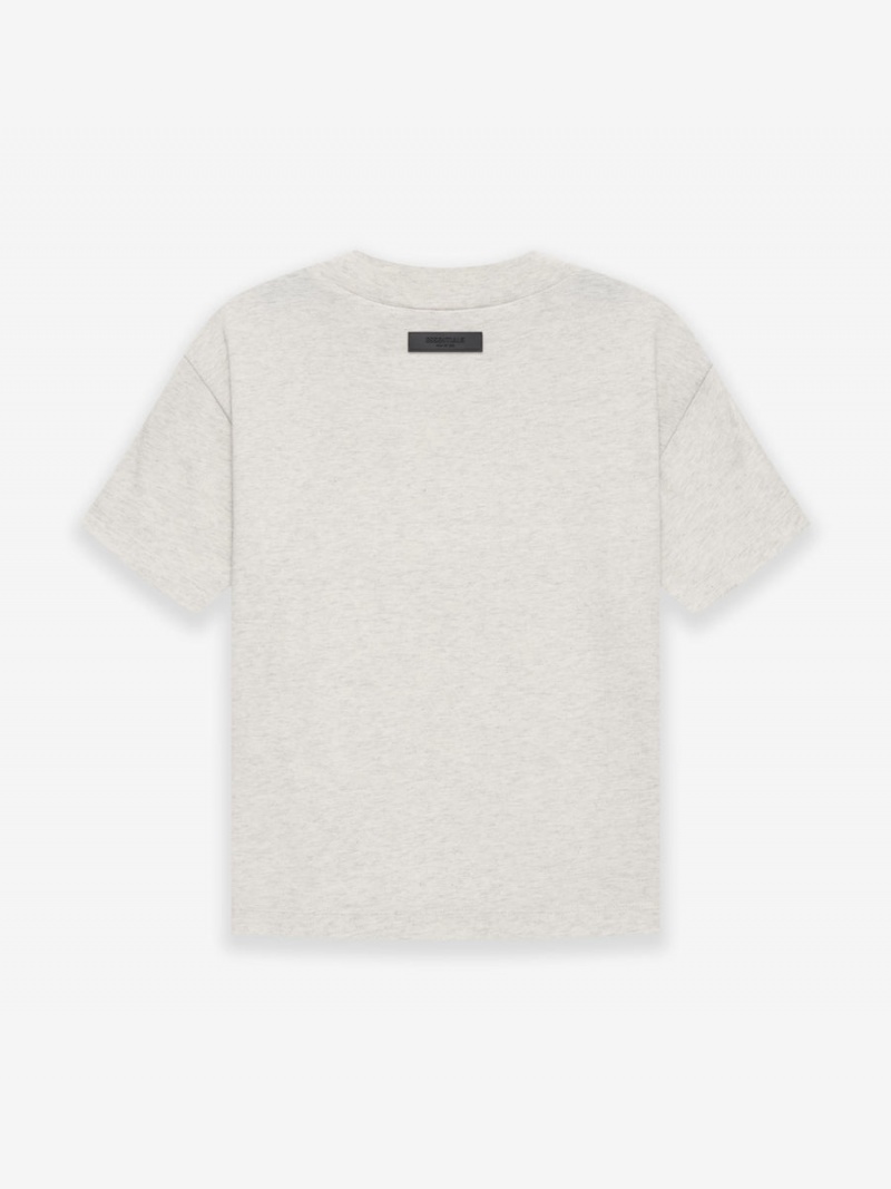 Camiseta Essentials 1977 Tee Gray | 61RENIKJF