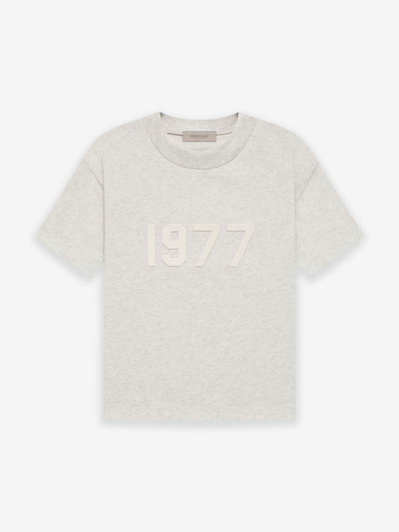 Camiseta Essentials 1977 Tee Gray | 61RENIKJF