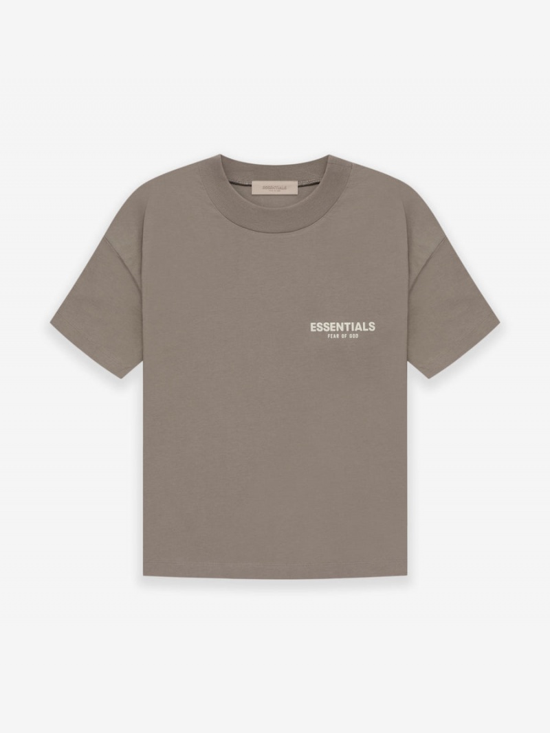 Camiseta Essentials Fear of God Gray | 46FMCYAHK