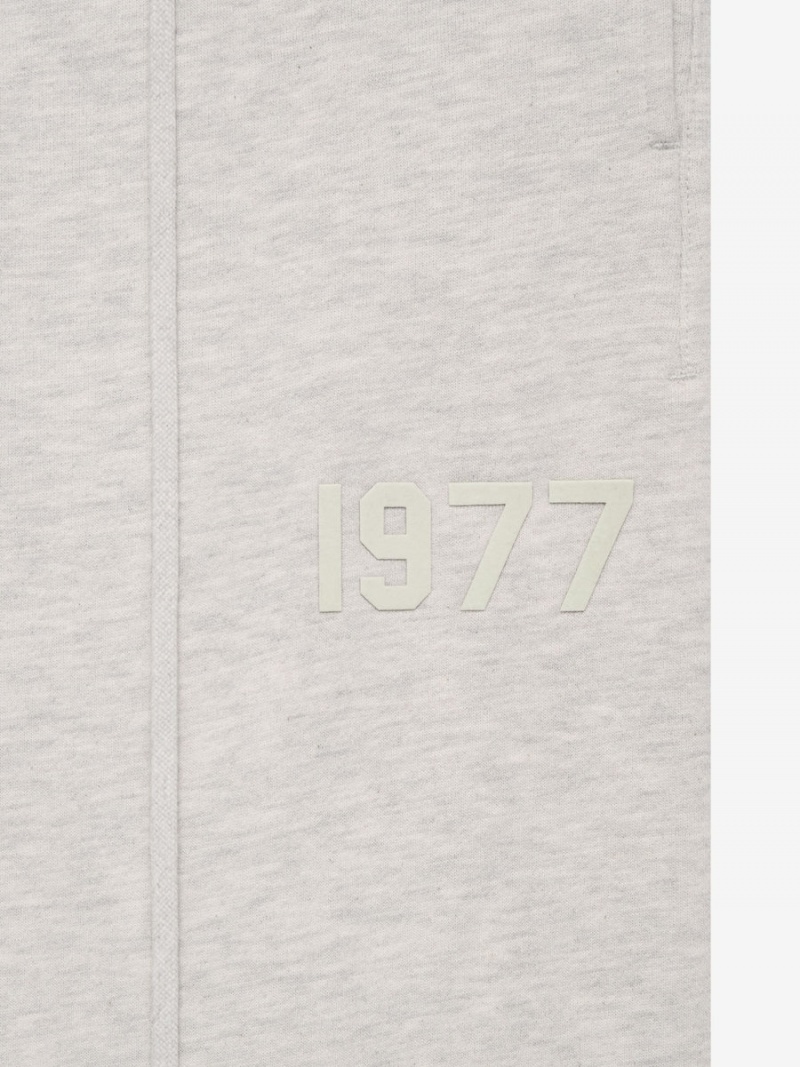 Pantalon Deportivo Essentials 1977 Gray | 64RAOTQNZ