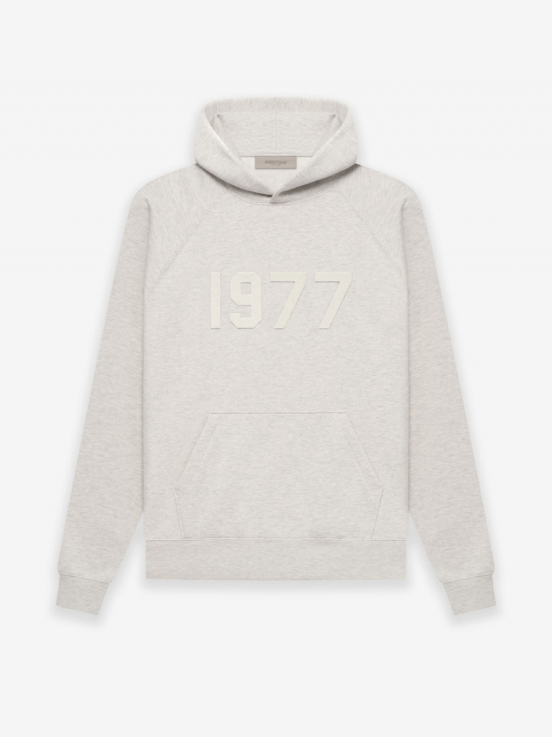 Sudadera con Capucha Essentials 1977 Gray | 53IMEFLBA