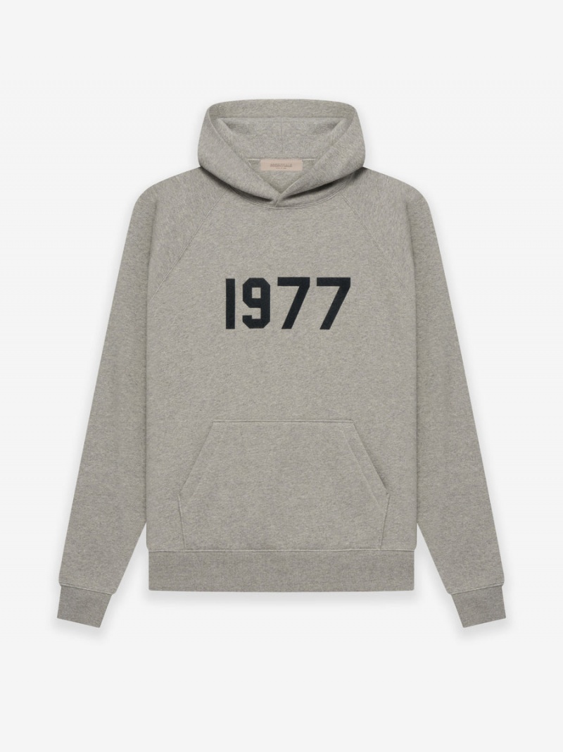 Sudadera con Capucha Essentials 1977 Verde Menta | 81QBIFJDW