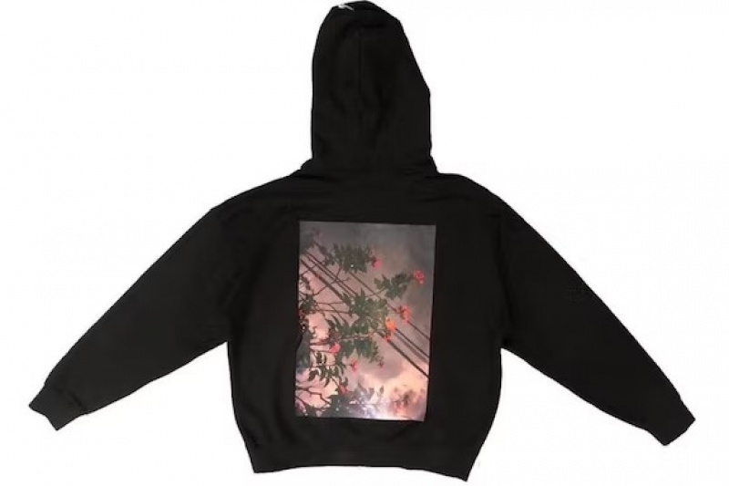 Sudadera con Capucha Essentials Fear of God Photo Pullover (FW19) Negras | 37ZTOGMAR